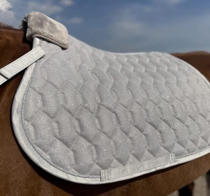 Horse Saddle Pad