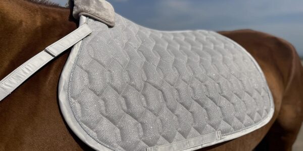 Horse Saddle Pad